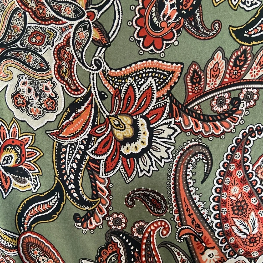 Sandra Darren Woman’s Green Paisley Mid length sleeveless dress, Plus Size 2X - Picture 5 of 13